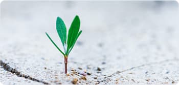 Mais do que projetos, construímos relações onde confiança e compromisso nos fazem evoluir juntos.